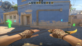 legit visuals.png