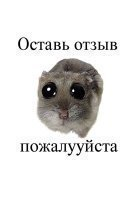 1784814963552.png