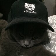 Cat_lover