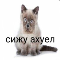 Qwita