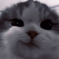 m3f