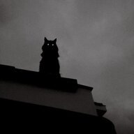 ___untitled___