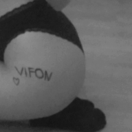Vifonek
