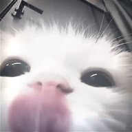 Fichaxwx