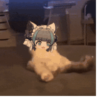 NachoNeko