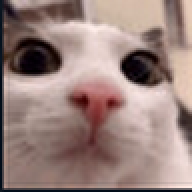 wezu