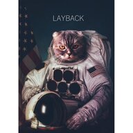 cy1316404296