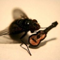 pyluOTinvaluda