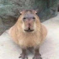 dimasp00012