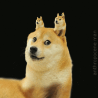 dimkar