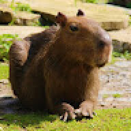velsik