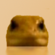 popsa123