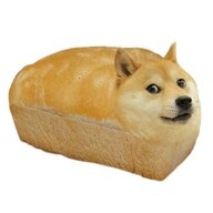 1nndoggy