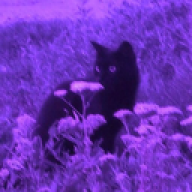 xnvuitp
