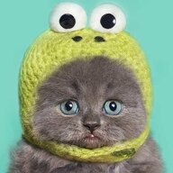 Cat95