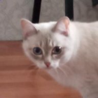 125521