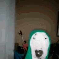 Goutti