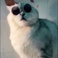 adoreu69