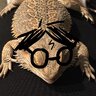 piemo