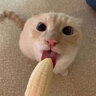 jamiezilla32