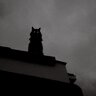 ___untitled___