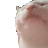 ROPOR