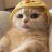 nixware1488