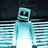 sitting_duck44
