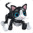 catboat