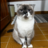 melih_lahmacunn