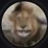 D1glett