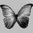 ImButterfly