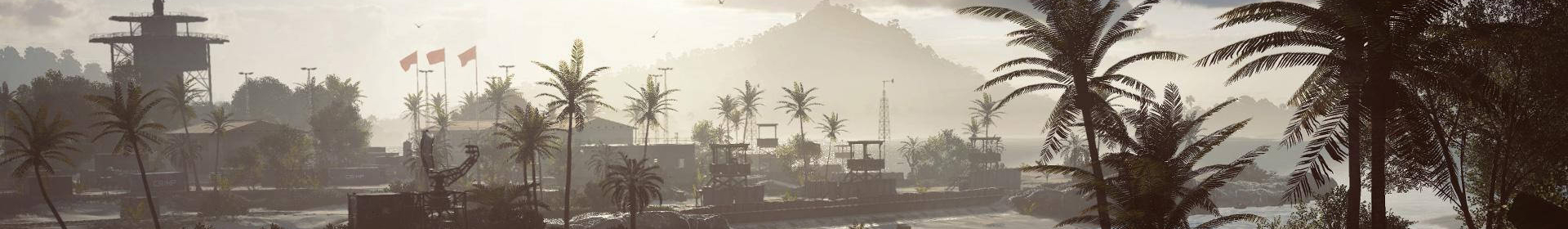 palms